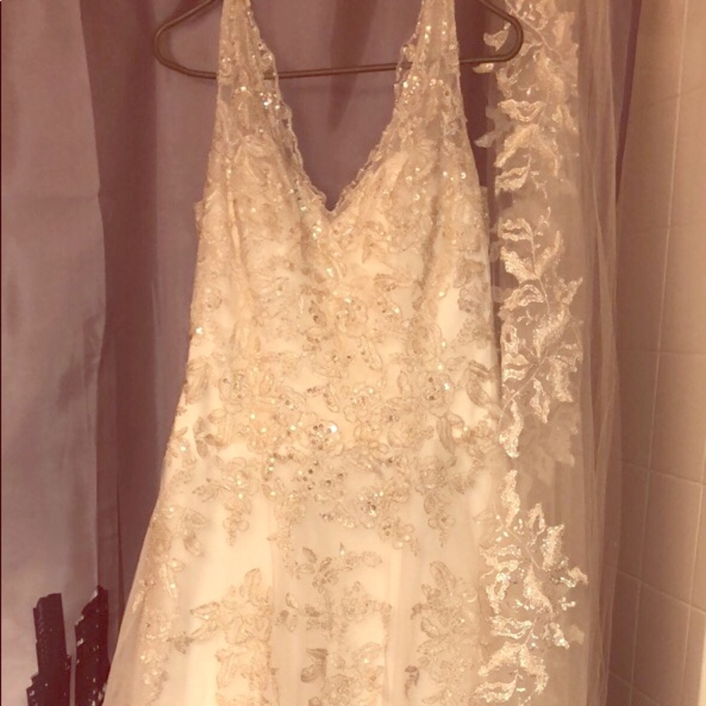 David’s Bridal Wedding Dress with Veil